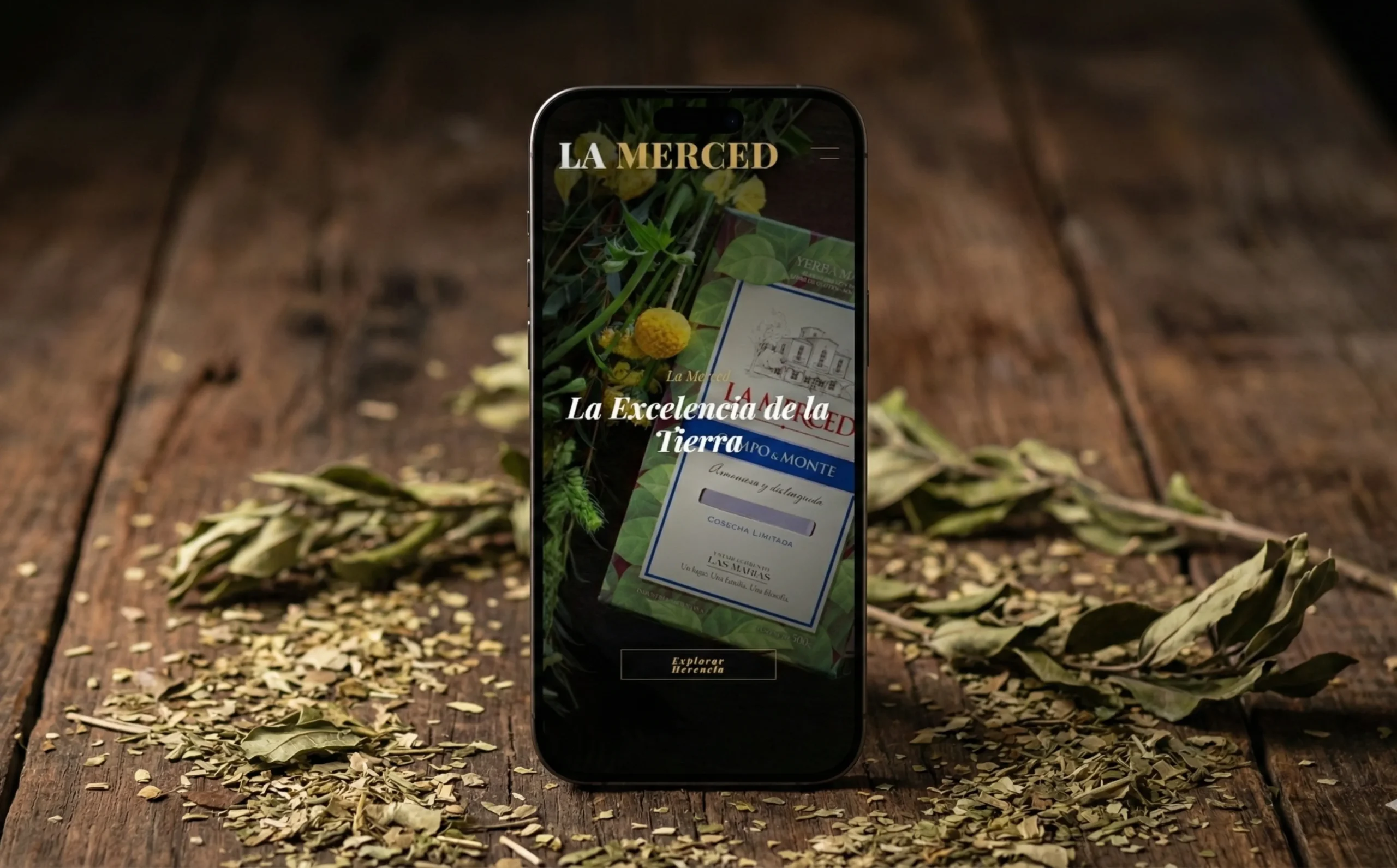 Diseño Web La Merced Mobile Variedades